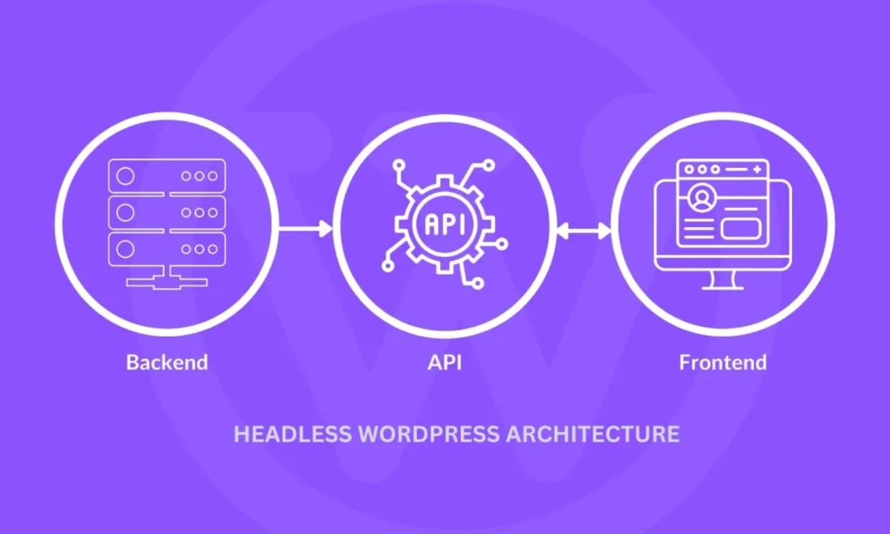 WordPress care plans WordPress care plans