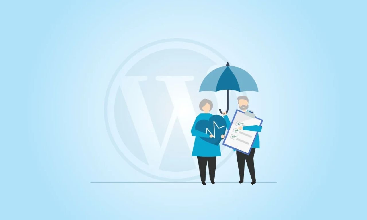 WordPress Website Maintenance Agency