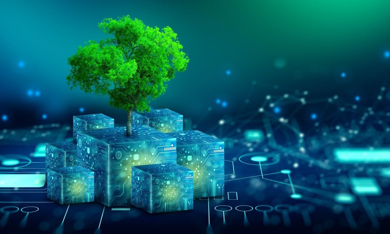 WordPress Website Maintenance Agency